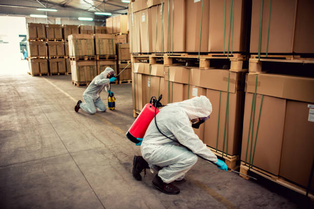 Best Best Pest Control Companies  in Byrnes Mill, MO