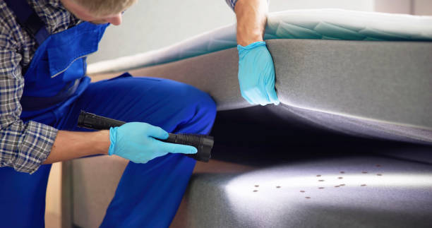 Best Local Pest Control Services  in Byrnes Mill, MO