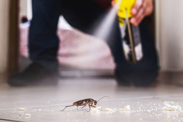 Wildlife Control Services in Byrnes Mill, MO