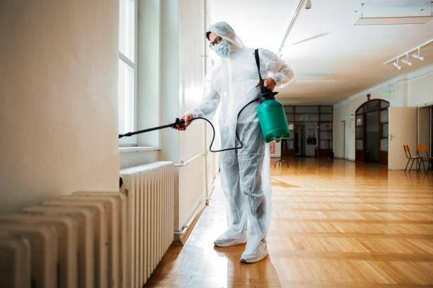 Best Wasp Removal Services  in Byrnes Mill, MO