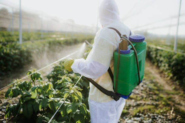 Best Termite Control Services  in Byrnes Mill, MO